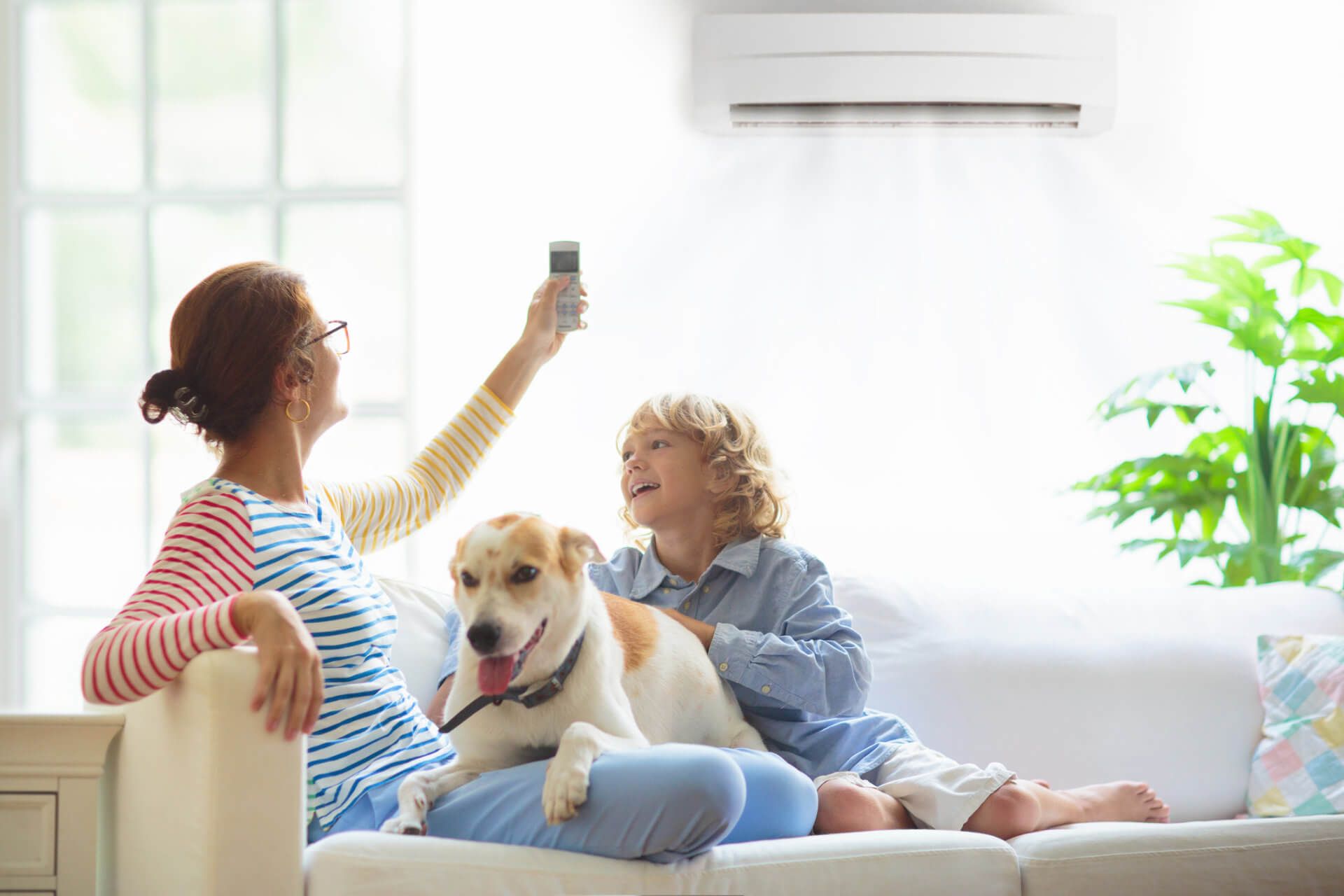 family and pet indoors enjoying their air conditioning unit